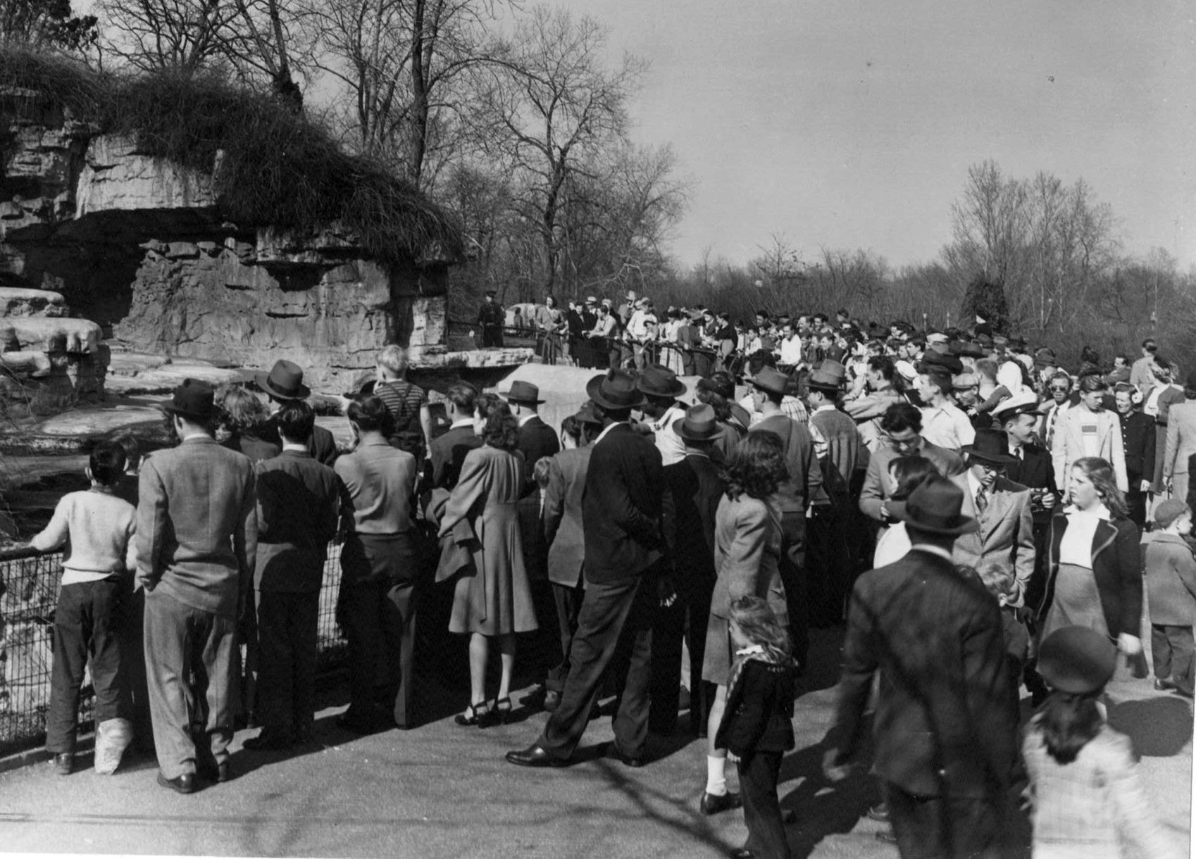 Bears at the St. Louis Zoo in 1946